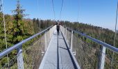 Trail Walking Bad Wildbad - Baumwipfelpfad et Wildline à Bad Wildbad dans le Schwarzwald - Photo 7