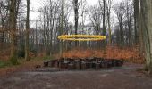 Trail Walking Houppeville - foret monumental - Photo 10