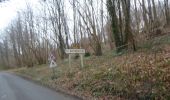 Tour Wandern Pavilly - 20220203-Pavilly - Photo 12