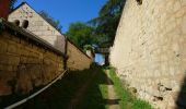 Excursión Senderismo Saint-Germain-sur-Vienne - Saint-Germain-sur-Vienne - Zig zag GR3 Fontevraud-l'Abbaye - 20km 350m 4h50 (45mn) - 2024 05 08 - Photo 2