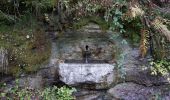 Randonnée A pied Lausanne - Le chemin des fontaines des Bois du Jorat - Photo 3