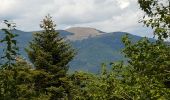 Tour Wandern Murbach - Murbach - Grand Ballon - Lac du Ballon - Col du Wolfsgrube - Photo 6