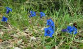 Trail Walking Entremont-le-Vieux - Roche-Veyrand-2021-05-21-RECO - Photo 2