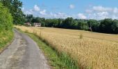 Tocht Stappen Perche en Nocé - Préaux-du-Perche Sud - Photo 18