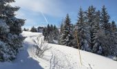Tour Schneeschuhwandern Gex - La Faucille_Montrond 11km 20200220 - Photo 4