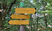 Trail Walking Prévenchères - BOUCLE AUTOUR DU CROUZET (PREVENCHERES) - Photo 7