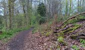 Trail Walking Liège - autour du ruisseau de colonster via la grimpette des 3 sapins et retour via le château  - Photo 6