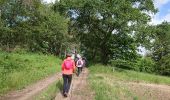 Tocht Noords wandelen Bussière-Dunoise - m'as saint jean - Photo 2