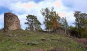 Randonnée A pied Campdevànol - Entre antigues parròquies de Gombrèn, Campdevànol i les Lloses - Photo 2