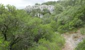 Excursión A pie Plan-d'Aups-Sainte-Baume - plan d'aups pour l été - Photo 1