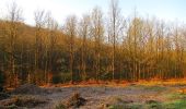 Tocht Stappen Vieux-Moulin - en forêt de Compiègne_26_la Grotte des Ramoneurs_Tournantes de la Queue de Saint-Etienne et sur la Côte de Roilaye - Photo 3