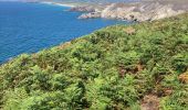 Trail Walking Crozon - Cap de la Chevre  - Photo 5