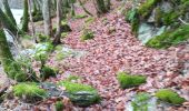 Tocht Stappen La Roche-en-Ardenne - Maboge  - Photo 19