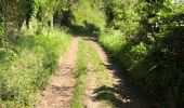Trail Walking Barneville-la-Bertran - Honfleur  - Photo 3