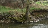 Randonnée Marche Esse - Le sentier de découverte de Paule Lavergne - Photo 6