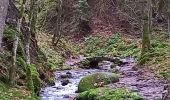 Randonnée Marche Gérardmer - gerardmer saut de la bourrique cascade merel - Photo 15