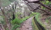 Trail Walking Arco da Calheta - Levada do 25 fontes - Photo 6