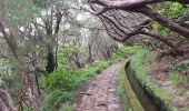 Randonnée Marche Arco da Calheta - Levada do 25 fontes - Photo 6