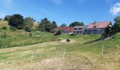 Tocht Stappen Hohrod - Circuit historique 1914-1918 Hohrodberg - Linge - Photo 5