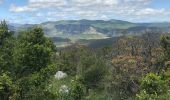 Tocht Stappen Montoulieu - Mont Haut  - Photo 2