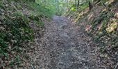 Trail Walking Reugny - Reugny - Vignes et Brenne - Photo 11