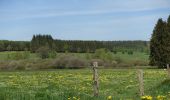 Tocht Stappen Neufchâteau - Massul - Bois Ramon - Gros Bois - Photo 5