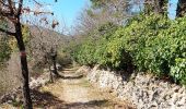 Tour Wandern Viols-le-Fort - viols le fort,  les cazarils - Photo 8