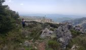 Excursión Senderismo Caussols - CAUSSOLS-Les plateaux de Calern et de Caussols-MBO - Photo 14