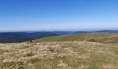 Tour Wandern Xonrupt-Longemer - 2021-10-10 Marche St Die Metzeral Jour 3 - Photo 6