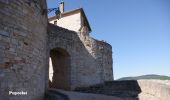 Randonnée Voiture Montricoux - Les Bastides Albigeoises-Puycelsi-Castelnau-St Antonin - Photo 13