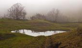 Trail On foot Zone - Malghe in Rete - Trekking - Le Creste Tappa 2 - Photo 7