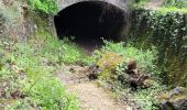 Tocht Stappen Saint-Cézaire-sur-Siagne - Le canal et la rivière de la Siagne  - Photo 5