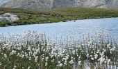 Trail Walking Valsavarenche - 3 Les Eaux Rousses Col du Manteau 2789 m Refuge Tetra Lyre (Pont) +1150 m - 900 m - Photo 8
