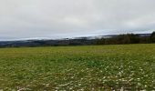 Tocht Stappen La Roche-en-Ardenne - Chèque - Photo 6