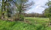 Trail Walking Theux - la reid . vert buisson . charmille / variante  - Photo 9