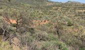 Excursión Senderismo Ingenio - Barranco de Guayadeque (Gran Canaria) - Photo 16