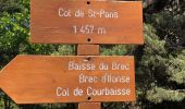 Tour Wandern Thiéry - Le Brec d'Ilonse depuis Thiery - Photo 14