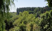 Excursión Senderismo Anhée - De Haut-le-Wastia à Salet - Photo 2