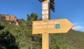 Tour Wandern Saint-Raphaël - ND d'Afrique et le palais bulle depuis la gare du Trayas - Photo 12