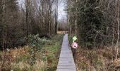 Tocht Stappen Gouvy - Promenade vers la réserve naturelle 