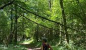 Trail Walking Rochefort - Wavrielle  12-06-20 - Photo 15