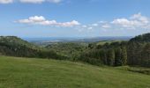 Trail Mountain bike Urrugne - col d'Ibardin - Photo 4