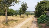 Tour Elektrofahrrad Ronse - renaix - Louise-Marie - Renaix - Photo 1