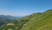 Tour Wandern Laveissière - Le Lioran Puy Mary - Photo 6