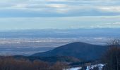 Tocht Stappen Murbach - Grand Ballon Refuge USM - Photo 1