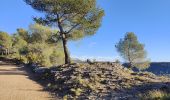 Trail Walking Aix-en-Provence - Randonnée des barrages Zola et Bimont - Photo 11