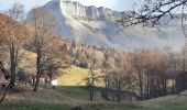 Trail Walking Apremont - pointe de la gorgeat par col granier - Photo 13