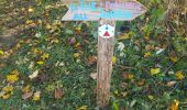Trail Walking Bassenge - balisage godasse oupeye - Photo 1