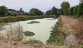 Tour Elektrofahrrad Ronse - Russeignies - Photo 1