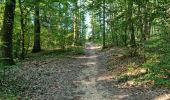 Trail Walking Reugny - Reugny - Vignes et Brenne - Photo 16